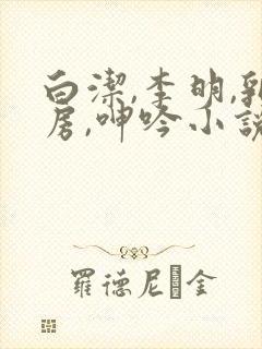 白洁,李明,乳房,呻吟小说封面