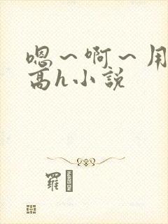 嗯～啊～用力～高h小说