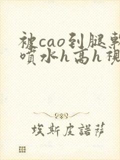 被cao到腿软喷水h高h视频封面