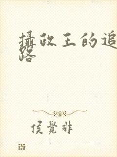 摄政王的追妻之路