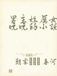 男主姓厉女主叫晚晚的小说