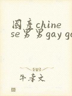 国产chinese男男gay gay180