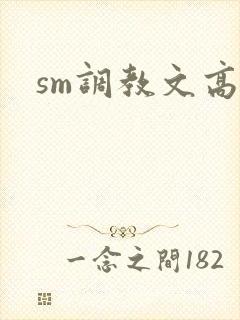 sm调教文高h