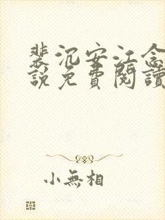 裴沉安江念意小说免费阅读最新章节