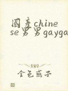 国产chinese男男gaygay视频网站