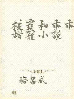 校霸和乖乖女的甜宠小说