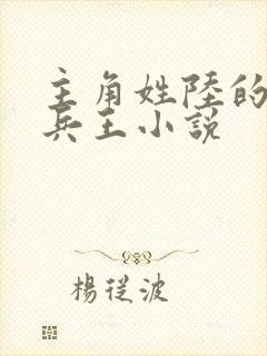 主角姓陆的都市兵王小说封面