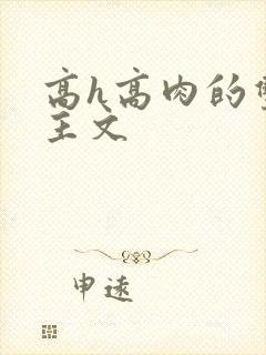 高h高肉的双男主文