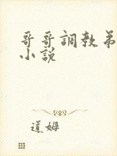 哥哥调教弟弟的小说