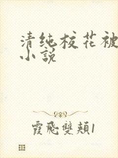 清纯校花被日常小说