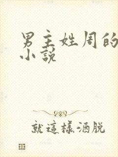 男主姓周的现代小说