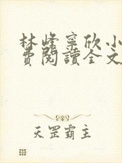 林峰宁欣小说免费阅读全文最新章节介绍