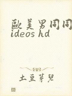 欧美男同同性videos hd