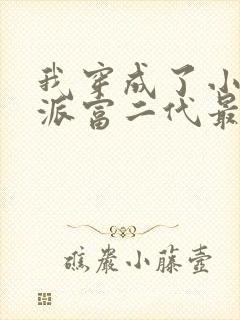 我穿成了小说反派富二代最新下载