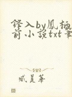 锋入by凤栖堂前小说txt笔趣阁