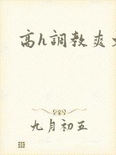高h调教爽文