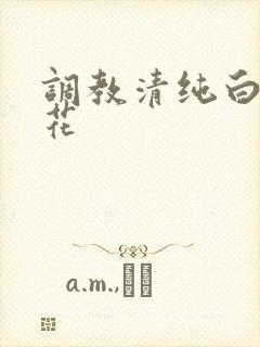调教清纯白丝校花