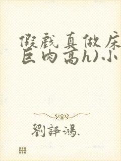 假戏真做床戏(巨肉高h)小说封面