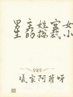 男主姓宫女主重生的总裁小说封面