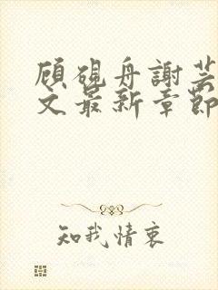 顾砚舟谢芸琛全文最新章节免费阅读