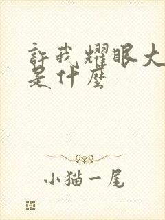 许我耀眼大结局是什么