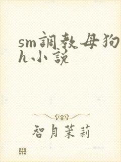 sm调教母狗高h小说