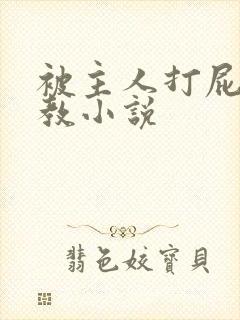 被主人打屁股调教小说