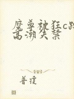 魔尊被狂c躁到高潮失禁封面