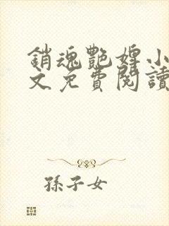 销魂艳婢小说全文免费阅读封面