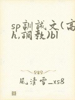sp训诫文(高h,调教)bl