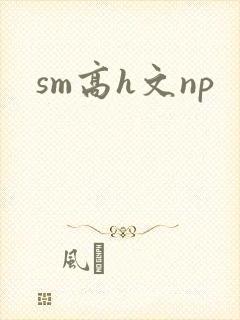 sm高h文np