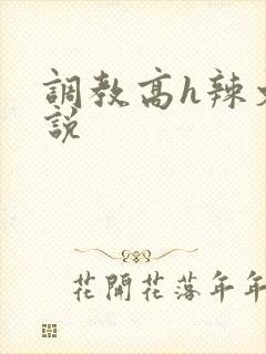 调教高h辣文小说封面