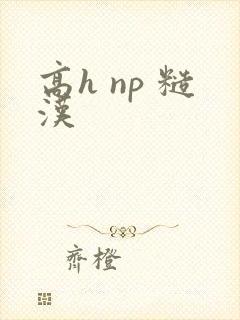 高h np 糙汉