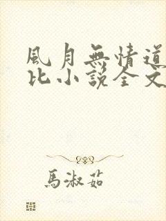 风月无情道比卡比小说全文免费阅读笔趣阁封面