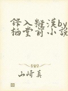 锋入糙汉by凤栖堂前小说全文无删减txt