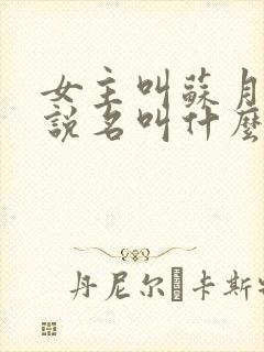 女主叫苏月的小说名叫什么封面