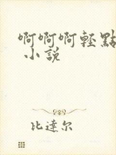 啊啊啊轻点嗯h 小说封面