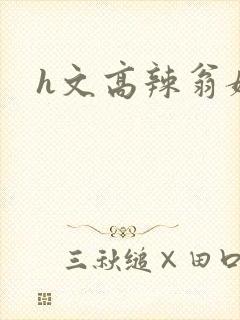 h文高辣翁媳封面