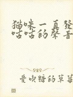 猫咪一直发出咕咕咕的声音正常吗