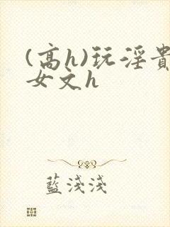 (高h)玩淫贵女文h封面