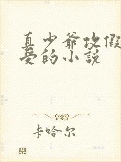 真少爷攻假少爷受的小说