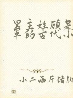 男主姓顾是个将军的古代小说