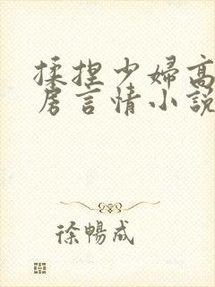 揉捏少妇高耸乳房言情小说