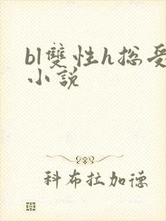 bl双性h总受小说