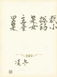 男主是总裁女主是养女的小说封面