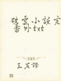 破云小说完整版 番外txt