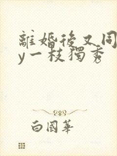 离婚后又同居by一枝独秀