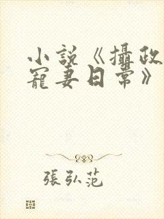 小说《摄政王的宠妻日常》