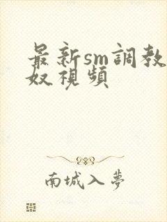 最新sm调教男奴视频