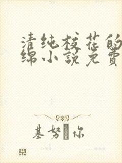 清纯校花的苏绵绵小说免费阅读